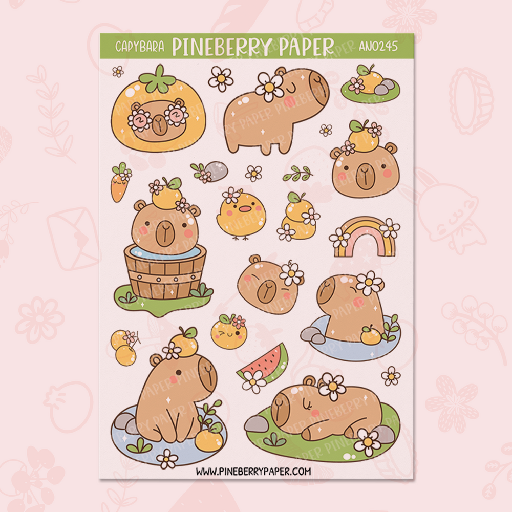 Capybara | AN0245