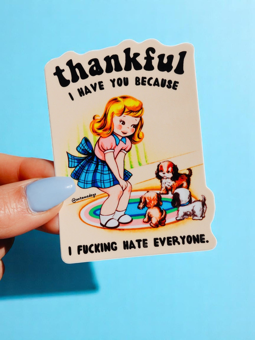 Funny Vinyl Sticker β Thankful I Have You β Dog Waterproof Dark Humor Decal