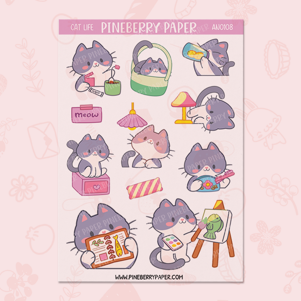 Daily Cat | AN0108