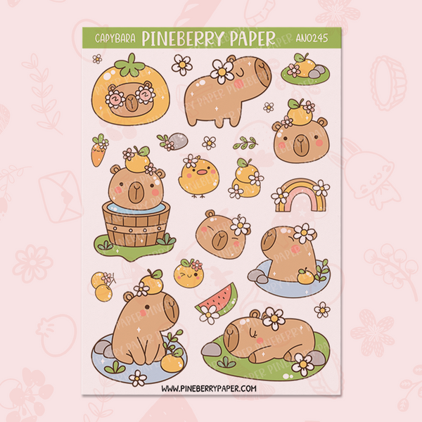 Capybara | AN0245