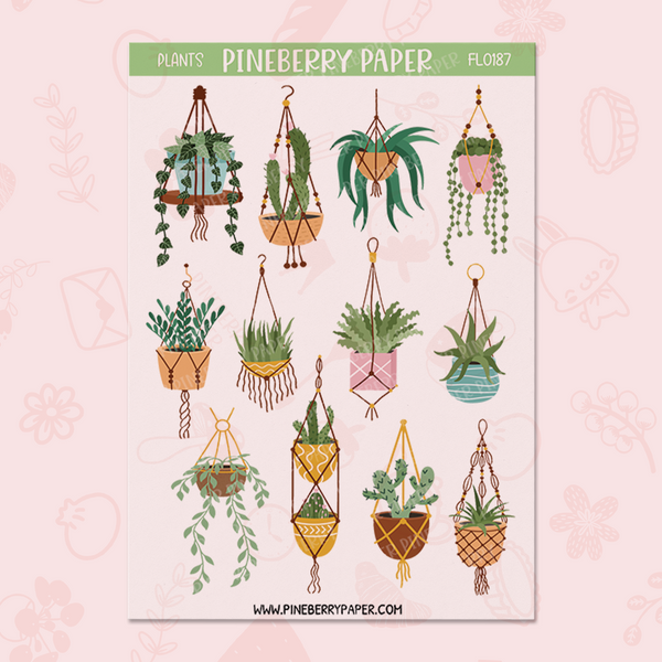 Hanging Plants | FL0187