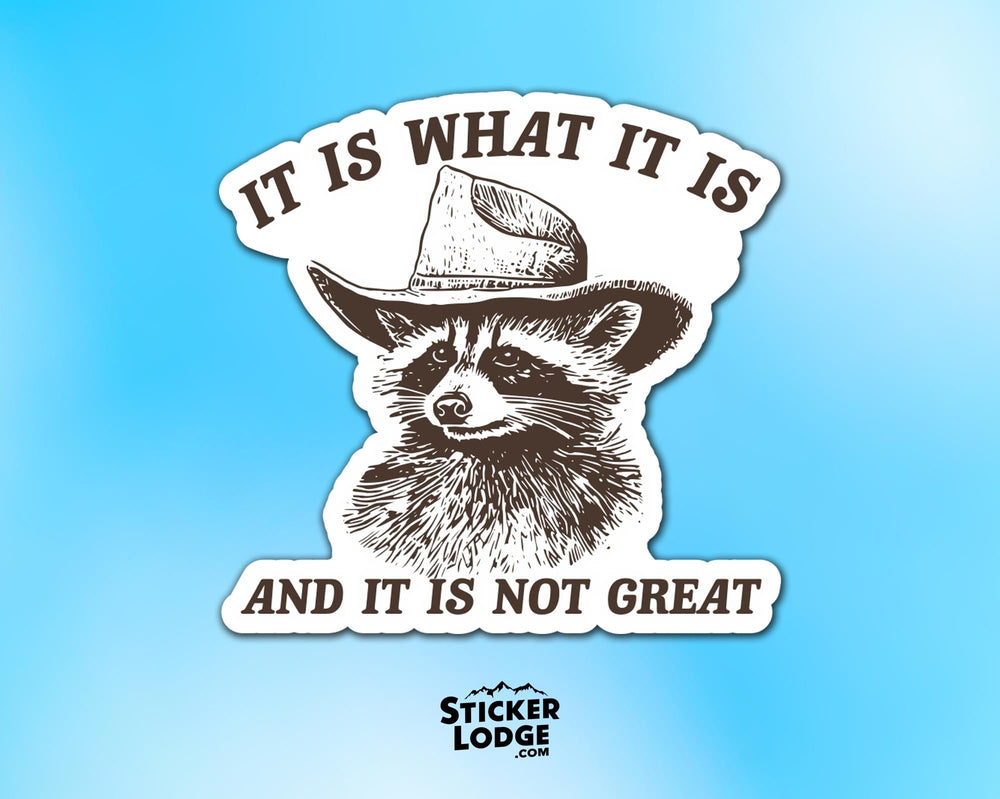 It Is What It Is And It Is Not Great Vinyl Sticker