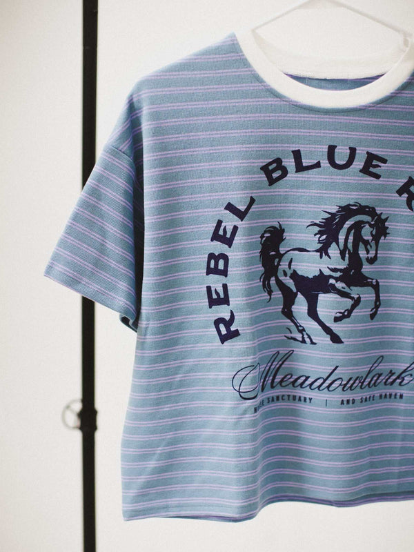 Rebel Blue Ranch Striped Boxy Tee